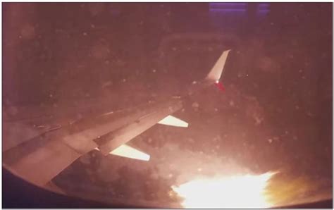 boeing 777 operators|Birdstrike involving a Boeing 737.